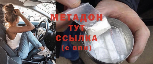 шишки Белокуриха