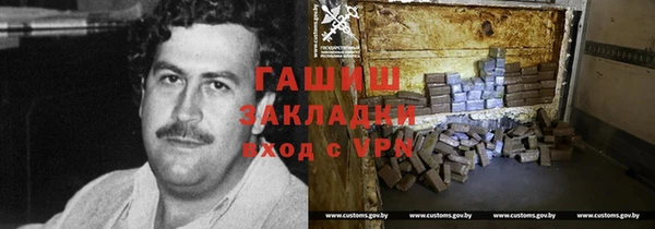 шишки Белокуриха