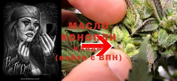 шишки Белокуриха