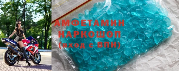 шишки Белокуриха