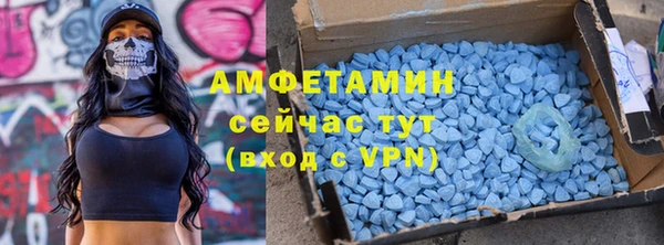 шишки Белокуриха