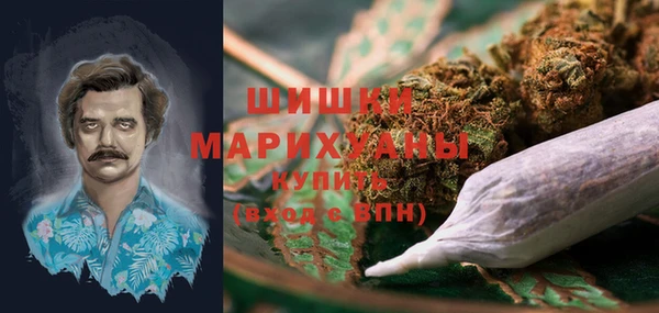 шишки Белокуриха