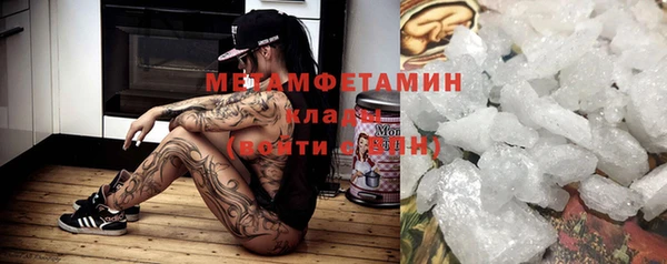 шишки Белокуриха